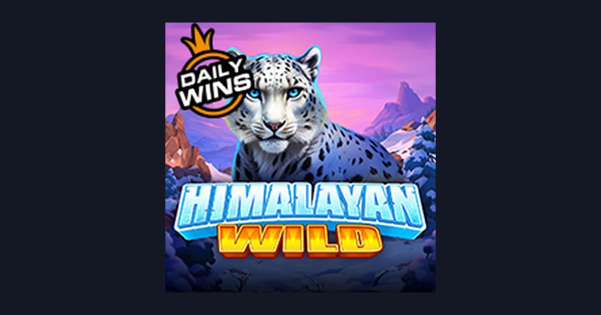 Tips Menang Buat Pemula di Slot Himalayan Wild dari Pragmatic Play